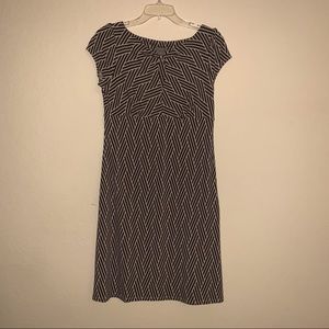 Ann Taylor Petites Brown & Tan Dress